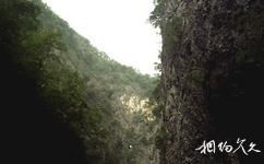 商洛金絲大峽谷國家森林公園旅遊攻略之蓮花洞