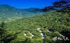 重慶江津四面山國家森林公園旅遊攻略之土地岩峽谷