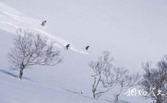 平谷青龙山旅游攻略之渔阳国际滑雪场