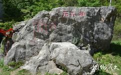 陇县龙门洞森林公园旅游攻略之牡丹石