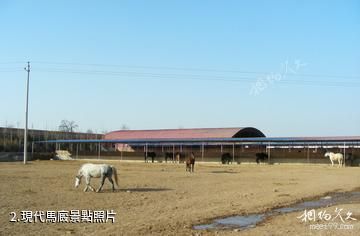 晉中榆次明樂莊園-現代馬廄照片
