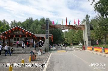 西宁青藏高原野生动物园照片