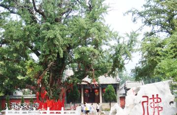 泗水安山寺照片