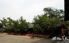 中国古代建筑博物馆旅游攻略之东西配殿