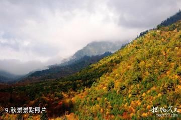 陝西長青國家級自然保護區-秋景照片