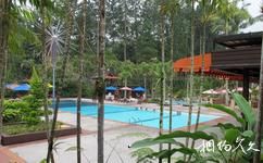 馬來西亞雲頂高原旅遊攻略之泳池