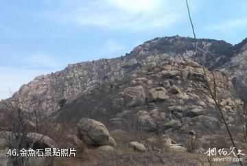 泰安徂徠山國家森林公園-金魚石照片