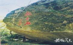 五女峰國家級森林公園旅遊攻略之飛來石