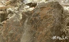 葡萄牙科阿山谷史前岩畫遺址旅遊攻略之岩畫