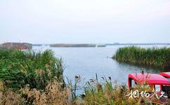 大慶鶴鳴湖濕地溫泉旅遊攻略之鶴鳴湖