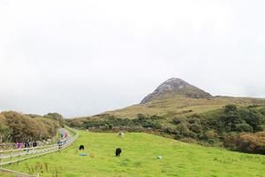 欧洲爱尔兰梅奥旅游攻略-梅奥郡(卡斯尔巴市)景点排行榜