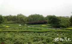 洛阳市隋唐城遗址植物园旅游攻略之百草园