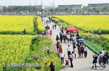 上海花米庄行景區-金色觀光大道照片