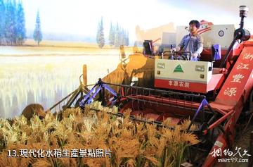 安徽中國稻米博物館-現代化水稻生產照片