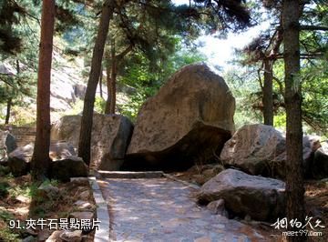 泰安徂徠山國家森林公園-夾牛石照片