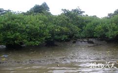 东寨港红树林保护区旅游攻略之野菠萝岛