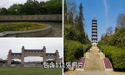 宜興龍背山森林公園驢友相冊