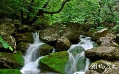 慶元縣百山祖國家級自然公園旅遊攻略之仙蛙石