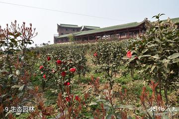 重庆巴南中泰天心佛文化旅游区-生态园林照片