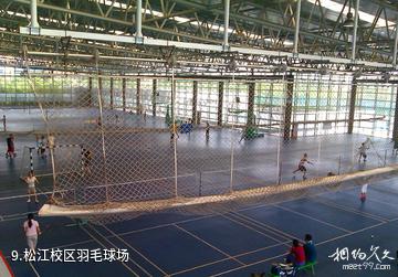 东华大学-松江校区羽毛球场照片