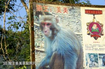 廣西龍虎山風景名勝區-猴王美美照片