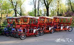 大庆儿童公园旅游攻略之自行车