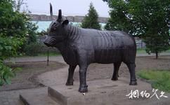 山西善化寺旅遊攻略之鐵牛
