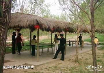 昌吉清水泉度假村-乒乓球台照片