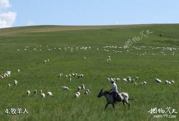 兴安蒙古包旅游村-牧羊人照片