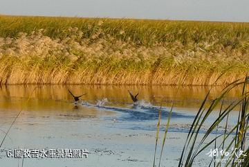 內蒙古圖牧吉國家級自然保護區-圖牧吉水庫照片