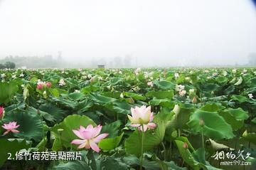 福建閩江源國家級自然保護區-修竹荷苑照片