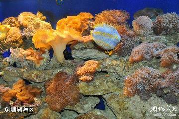 博鳌海洋馆-珊瑚海区照片