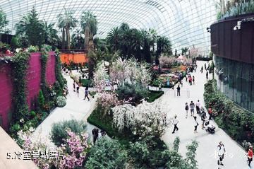 新加坡濱海灣花園-冷室照片