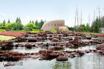 上海植物园照片