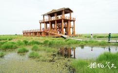 红旗岭千鸟湖(暂停开放)旅游攻略之观景台