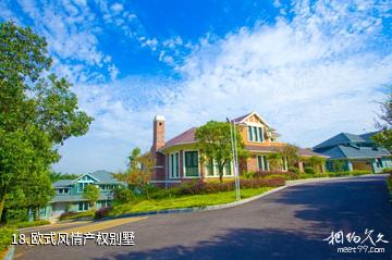 湖北龙佑赤壁温泉度假区-欧式风情产权别墅照片