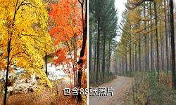辽宁大地森林公园驴友相册