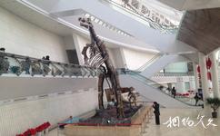 天津自然博物館旅遊攻略之自然博物館