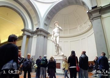 佛罗伦萨国立美术学院画廊-《大卫》照片