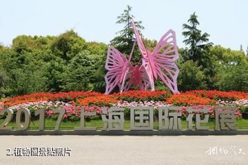 上海植物園-植物園照片