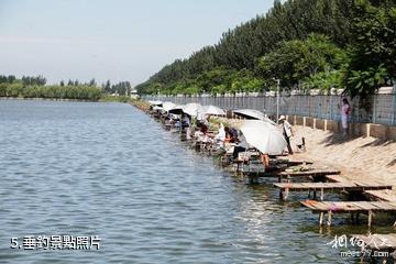 天津燕王湖濕地生態園-垂釣照片