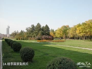 內蒙古大學-桃李園照片