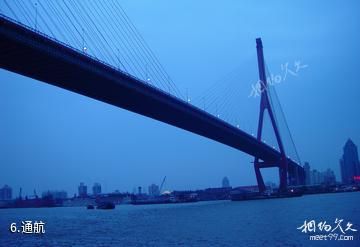 上海杨浦大桥-通航照片