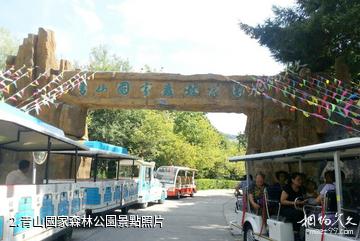 雙鴨山林業局青山國家森林公園-青山國家森林公園照片