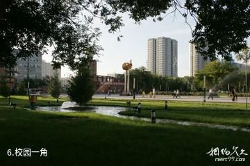 新疆大学-校园一角照片