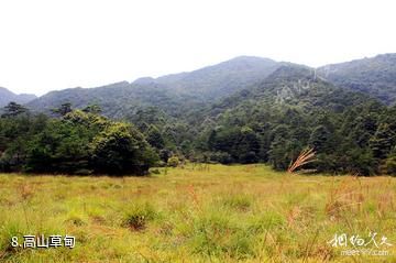 福建梅花山国家级自然保护区-高山草甸照片