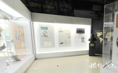 北京國家動物博物館旅遊攻略之動物所發展歷程展廳