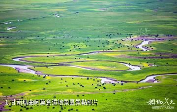 甘南瑪曲阿萬倉濕地景區照片