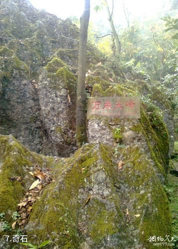 绵阳罗浮山白水湖风景区-奇石照片