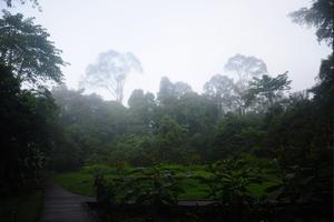 亚洲马来西亚砂拉越林梦旅游攻略-林梦景点排行榜